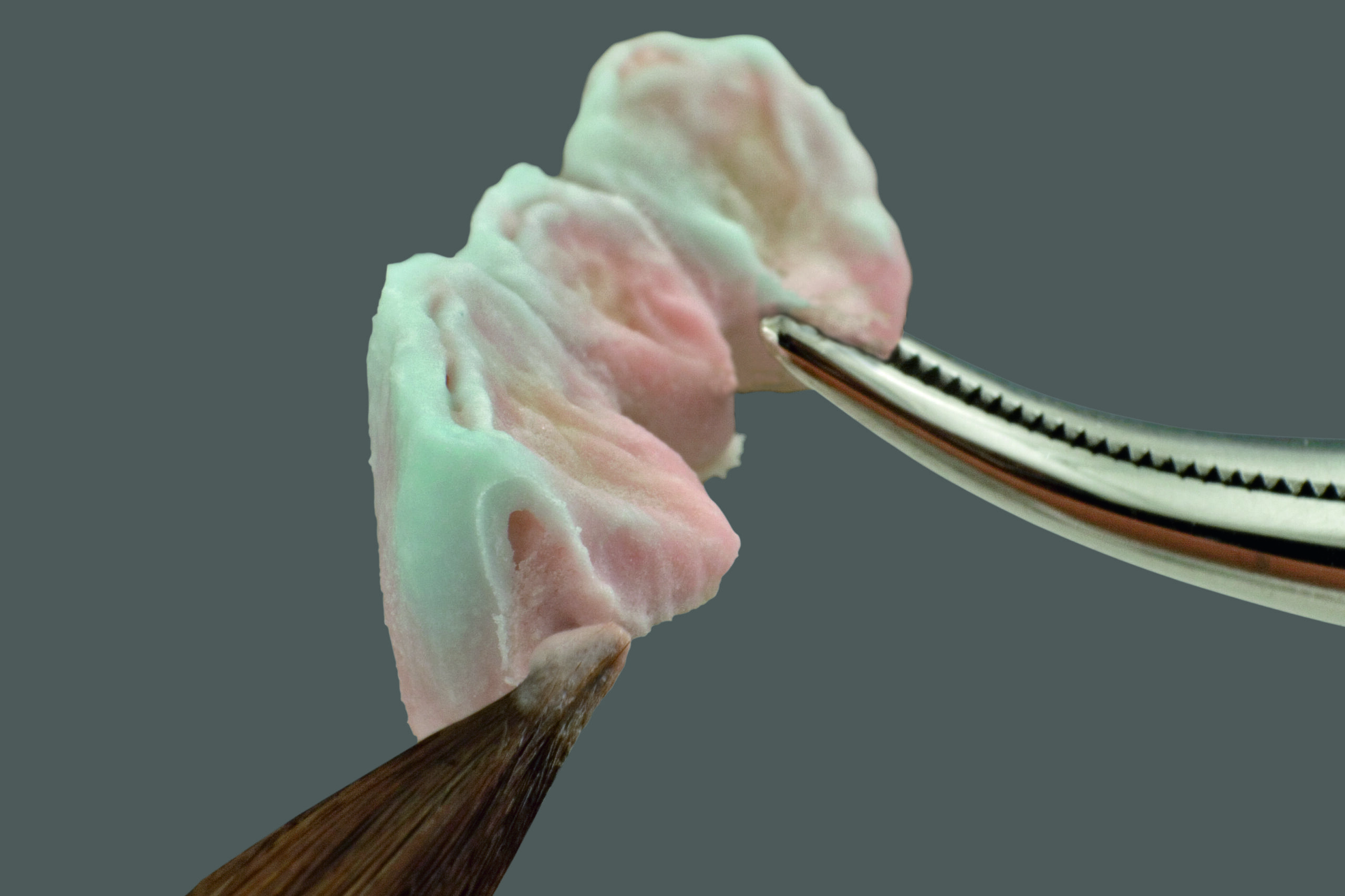 eoma-ceramic-evolution-2026-2