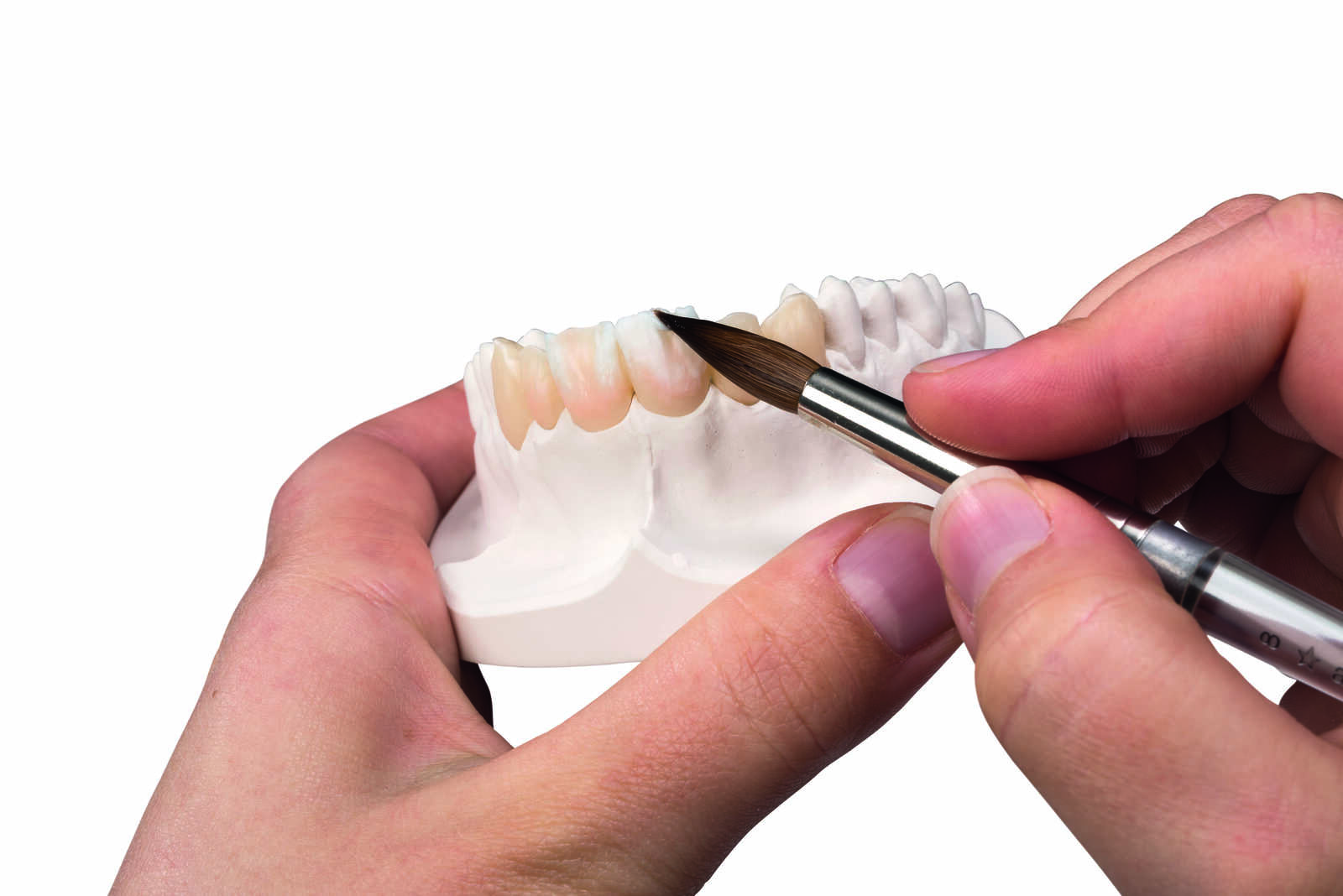 eoma-ceramic-evolution-2026-6 (1) (1)